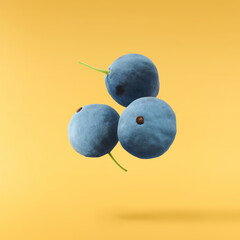 Fresh green Mahonia or oregon grape berries falling in the air isolated on yellow background