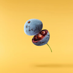 Fresh green Mahonia or oregon grape berries falling in the air isolated on yellow background
