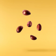Apple or pear seed falling in the air isolated on yellow background.