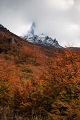 Otoño in Patagonia.
Capturada en Bariloche, las cimas tras las nubes son algunos de los picos del Cerro Catedral