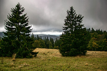 Schwarzwald Feldberg 2