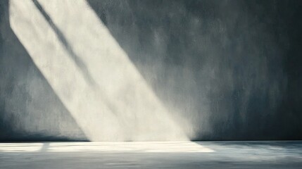  A person standing in front of a wall with light shining through the window casts a shadow in a painting