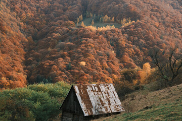 Rustic wooden cabin nestled in an autumnal forest. Vibrant orange and red foliage covers the hillside. Serene, picturesque landscape. Romania. Carpathian Mountains. Transylvania