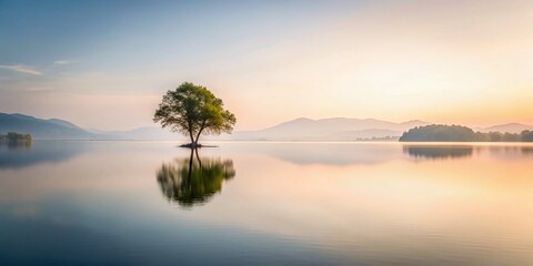 Fototapeta premium Minimalist Perspective on Nature's Beauty: A Serene Look Through the Lens of 'Blick' Capturing Simplicity in Composition and Color Harmony