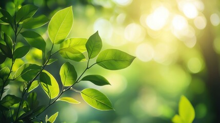 Obraz premium Explore the beauty of green leaves in nature's embrace