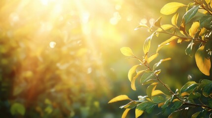 Obraz premium Capture the beauty of nature with sunlit leaves and glowing background