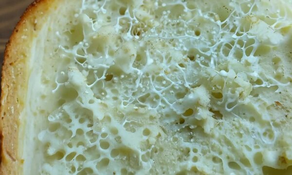 Close-Up of Moldy Bread