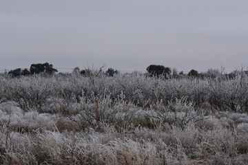 West Texas Winter