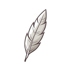 feather isolated on white background