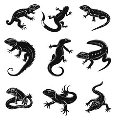 Obraz premium Exotic Reptile Vector Collection for Wildlife Designs