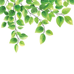 Fresh Green Leaf Tree Background Vector Illustration