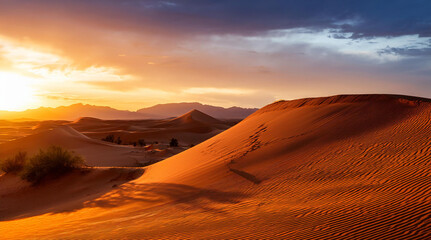 Beautiful sunset in the Sahara desert