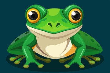 Stunning native frog of Australia with gorgeous green skin and big eyes 