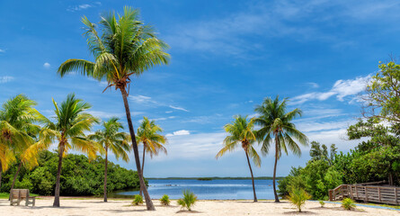 Sunny beach with coco palms and tropical sea in Key Largo beach, Florida.