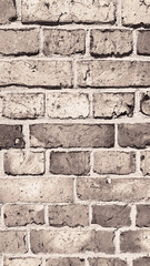 brown sepia natural bricks wall texture