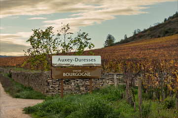 Sign post at the side of the road stateing the place name and vines behind