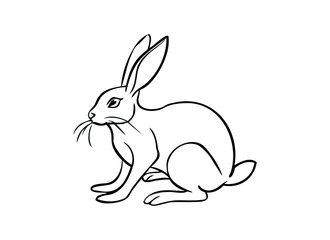 Rabbit Line Drawing for Wildlife and Nature Illustrations