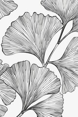 Coloring book illustration of detailed ginkgo leaves