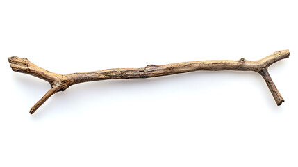 Obraz premium wooden stick separated against a white background