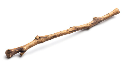 Fototapeta premium wooden stick separated against a white background
