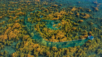 Casting nets to catch fish during seaweed season in Nhon Hai and Quy Nhon. The bright yellow color of seaweed is very beautiful. Photo taken at Hon Kho, Quy Nhon in June 2022.