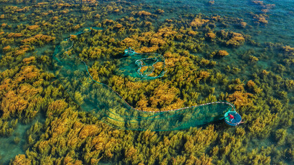 Casting nets to catch fish during seaweed season in Nhon Hai and Quy Nhon. The bright yellow color of seaweed is very beautiful. Photo taken at Hon Kho, Quy Nhon in June 2022.