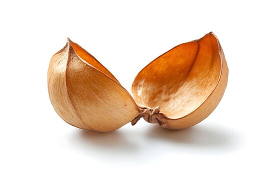 Corriander seed isolated on white background, close up