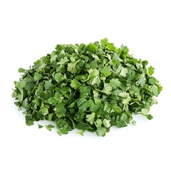Fototapeta premium Coriander Leaves isolated on white background, close up