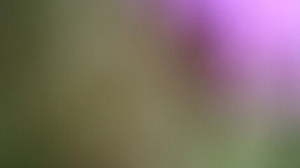 Pink Color Light gradient Background Design