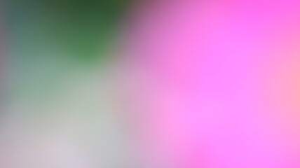 Pink Color Light gradient Background Design
