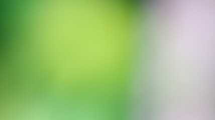 Pink Color Light gradient Background Design