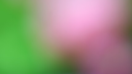 Pink Color Light gradient Background Design