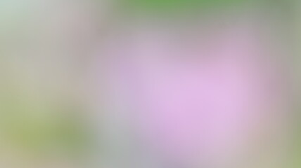 Pink Color Light gradient Background Design