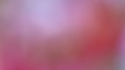 Pink Color Light gradient Background Design