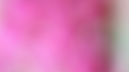 Pink Color Light gradient Background Design