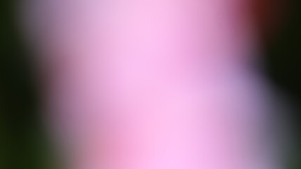Pink Color Light gradient Background Design