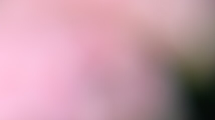 Obraz premium Pink Color Light gradient Background Design