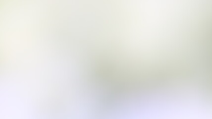 Light Gradient Color Background Design
