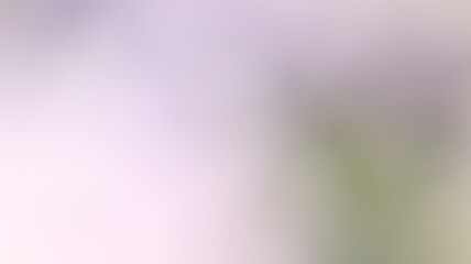 Light Gradient Color Background Design