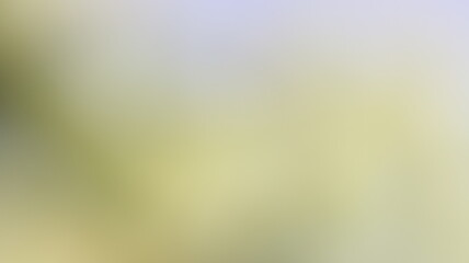 Light Gradient Color Background Design