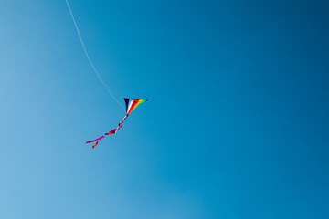 One colorful kite flying in blue sky. Space for text