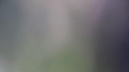 Light Gradient Color Background Design