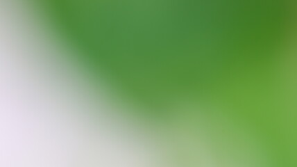 Light Gradient Color Background Design