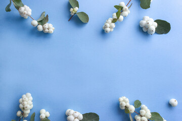 Snowberries on light blue background. Winter floral frame. Selective focus, place for text