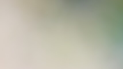 Light Gradient Color Background Design