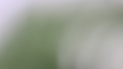 Light Gradient Color Background Design