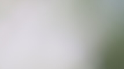 Light Gradient Color Background Design