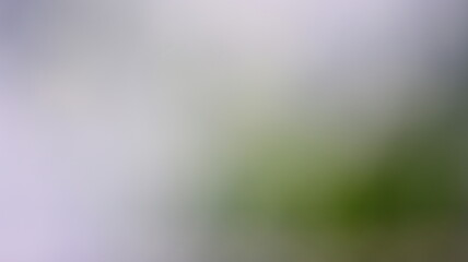 Subtle Gradient Blend Background Design