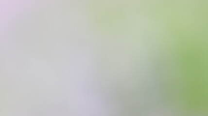 Fototapeta premium Subtle Gradient Blend Background Design