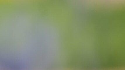 Subtle Gradient Blend Background Design